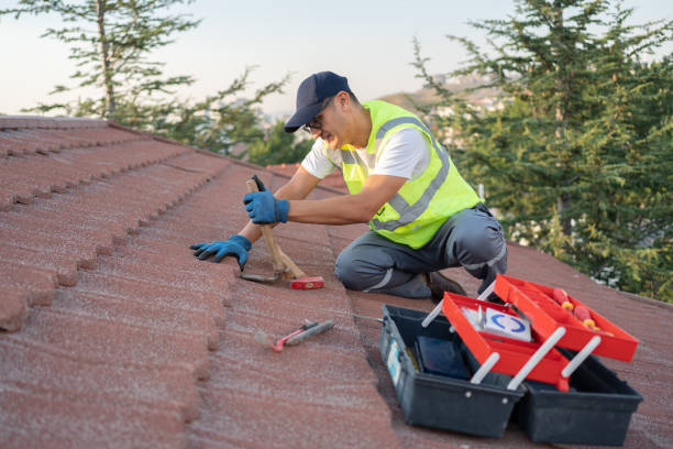 Best Residential Roofing Contractor  in Rice Lake, WI