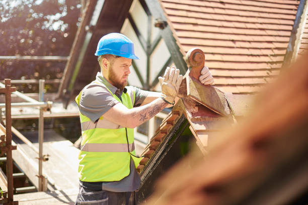 Best Roof Gutter Cleaning  in Rice Lake, WI